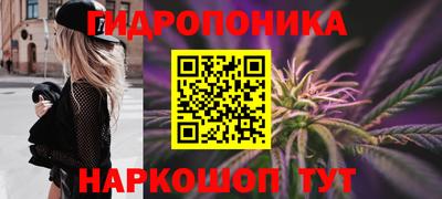 прущие крисы Ирбит