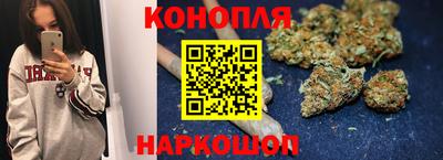 прущие грибы Изобильный