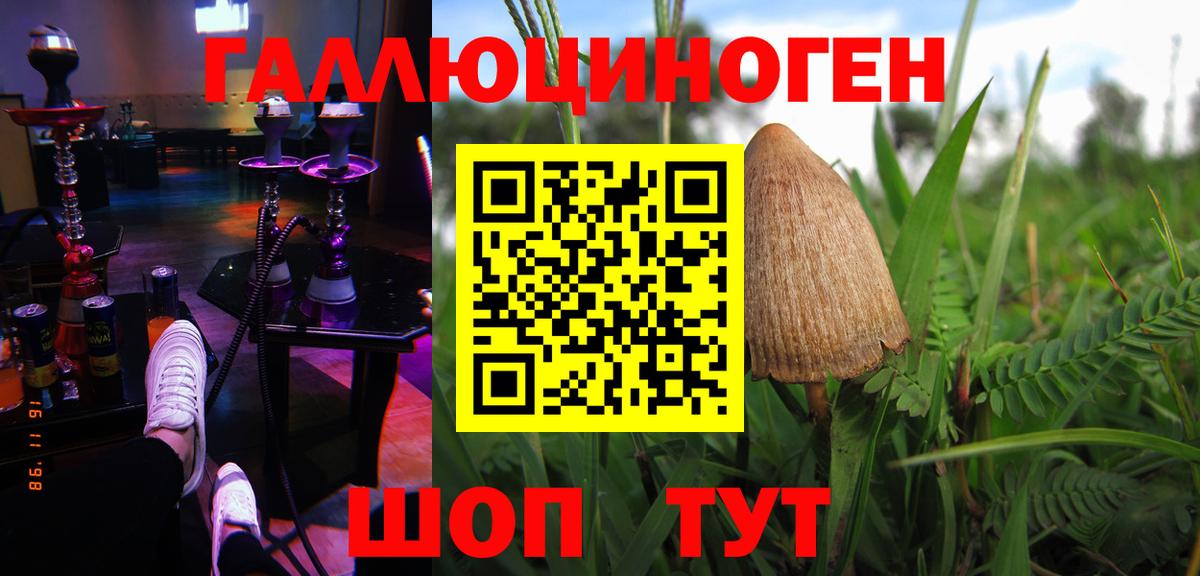 Кыштым  Галлюциногенные грибы Psilocybine cubensis  что такое   Вход с VPN 